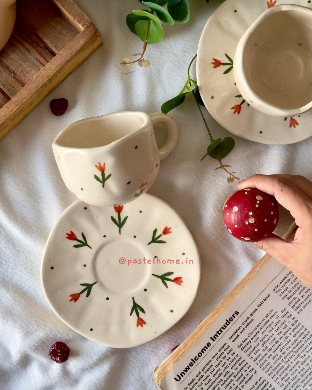 Dot and Tulip set