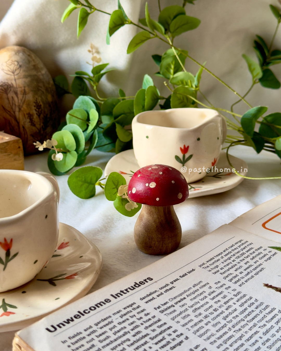 Dot and Tulip set