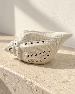 Conch Shape Electric Ceramic Aroma Diffuser, photographed in natural sunlight